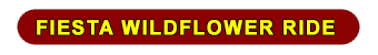 Fiesta Wildflower Ride